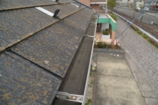 2020_0902_Tsama_narita06.JPG