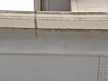 2020_0904_Hsama_mae12.jpg
