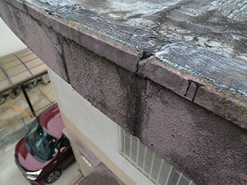 2020_0916_Tsama_mae20.pg