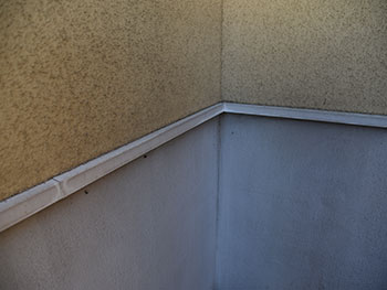 2020_0925_Ysama_mae11.pg