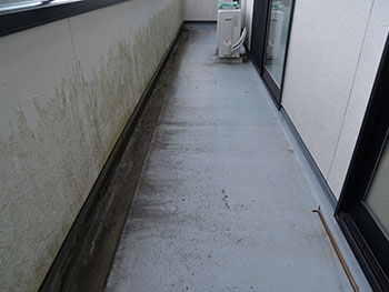 2020_1019_Ssama_mae05.jpg