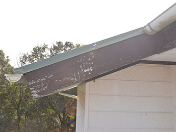 2020_1020_Isama_mae11.pg