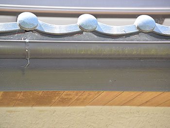 2020_1109_Osama_mae11.pg