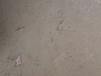 2020_1113_Nsama_mae11.pg