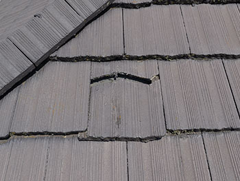 2020_1117_Ksama_mae17.pg