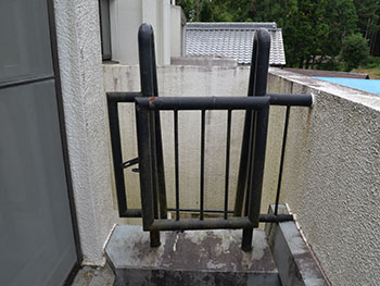 2020_1117_Rsama_mae15.jpg