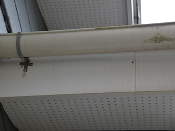 2020_1118_Isama_mae11.pg