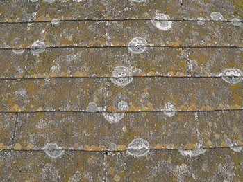 2020_1118_Isama_mae17.pg