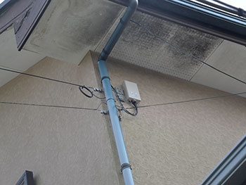 2020_1119_Osama_mae23.pg