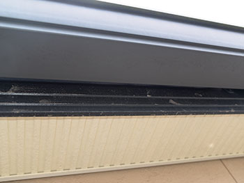 2020_1120_Hsama_mae11.pg