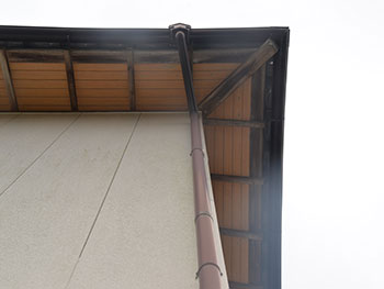 2020_1121_NSsama_mae11.pg