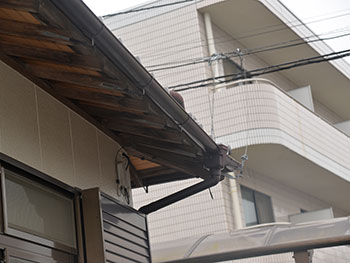 2020_1121_NSsama_mae14.pg