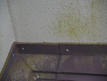 2020_1127_Ssama_mae20.pg