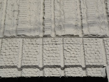 2020_1128_Tsama_mae20.pg