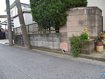 2020_1129_Ssama_mae14.pg