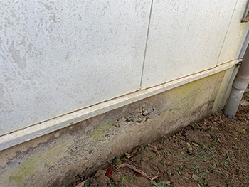 20210412_Ksama_mae11.jpg