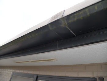 2021_0117_Ssama_mae14.pg