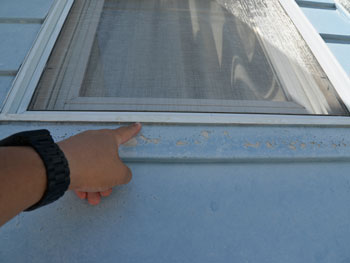 2021_0118_Ksama_mae11.pg