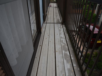 2021_0121_Isama_mae23.pg