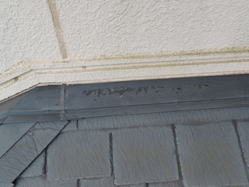 2021_0123_Isama_mae11.pg