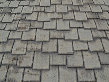 2021_0123_Isama_mae23.pg