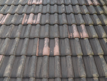 2021_0126_Ksama_mae14.pg