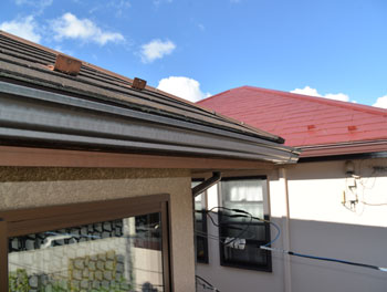 2021_0127_Isama_mae20.pg