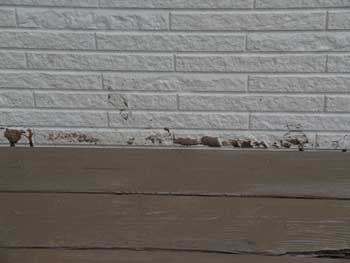 2021_0129_Hsama_mae11.pg