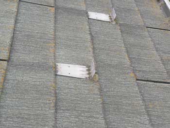 2021_0129_Hsama_mae20.pg