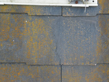 2021_0210_Ksama_mae17.pg