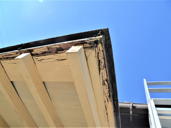 2021_0220_Osama_mae14.pg