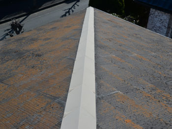 2021_0303_Asama_mae23.pg