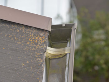 2021_0303_Ksama_mae23.pg