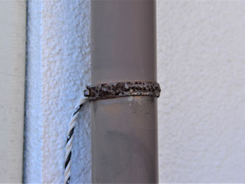 2021_0304_Tsama_mae14.pg