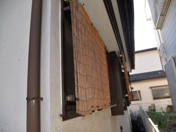 2021_0304_Tsama_mae17.pg