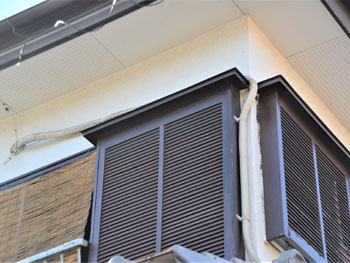 2021_0304_Tsama_mae20.pg