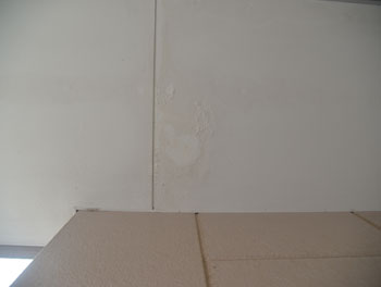 2021_0307_Esama_mae08.jpg