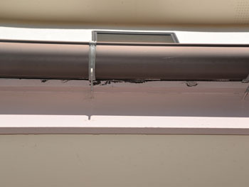 2021_0310_Ssama_mae14.pg