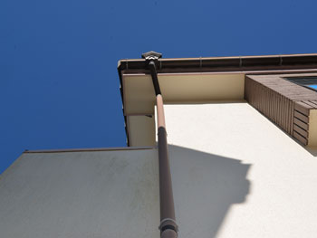 2021_0310_Ssama_mae17.pg