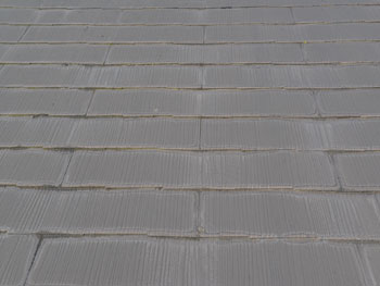 2021_0312_Asama_mae17.pg