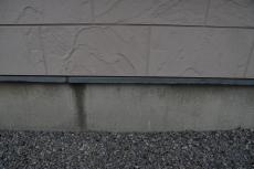 DSC_6545.JPG