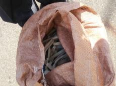 シーリング　打ち替え