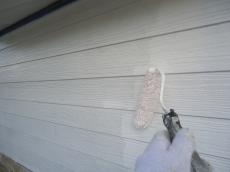 塗り込み　塗料