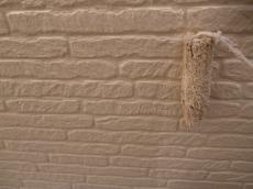 防藻　防カビ　塗料