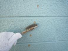 パテ処理　外壁