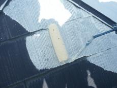 カラーベスト　塗装