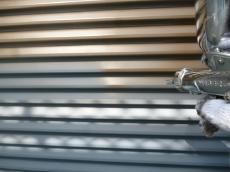 吹き付け　養生