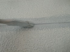 c20170220123.JPG