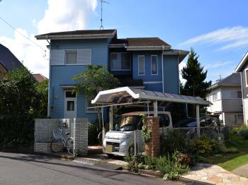 コケ　剥がれ　汚れ