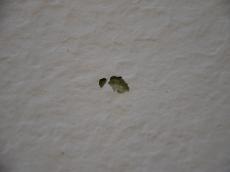 m20150811kka000005.jpg